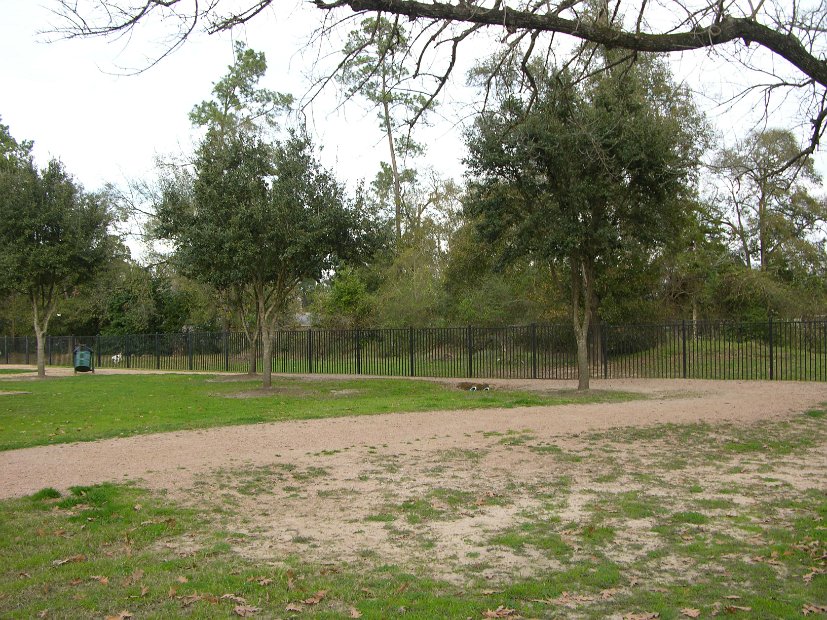 Glenmore Forest park 8000 Wingo Houston, Texas 77055 (5)